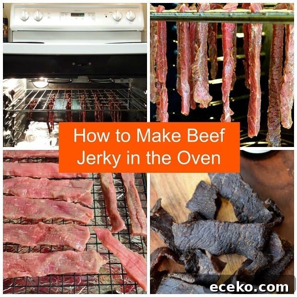 Garden Herb Beef Jerky Recipe 6 How to make Beef Jerky in the Oven