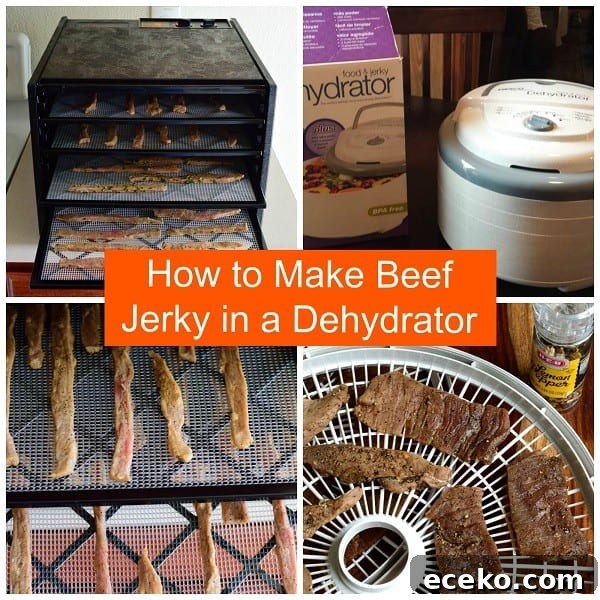 Garden Herb Beef Jerky Recipe 7 Learn how to make Beef Jerky in a dehydrator. It's easy, fast, and delicious! | Jerkyholic.com