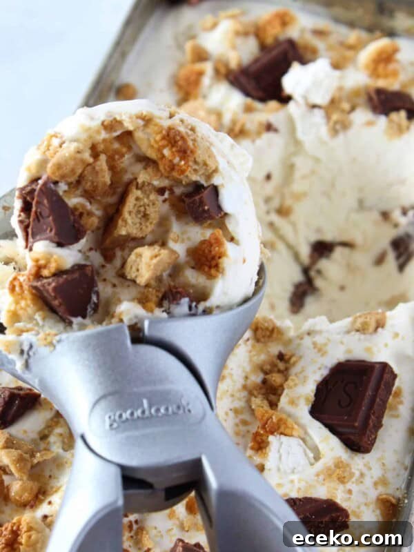 No Churn S'mores Ice Cream Recipe