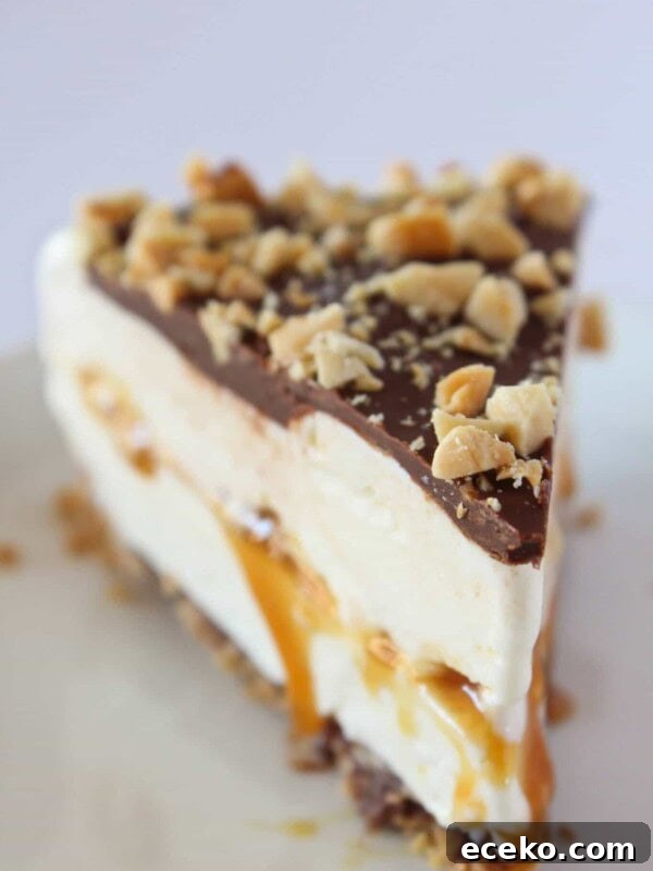 Easy Drumstick Pie Recipe