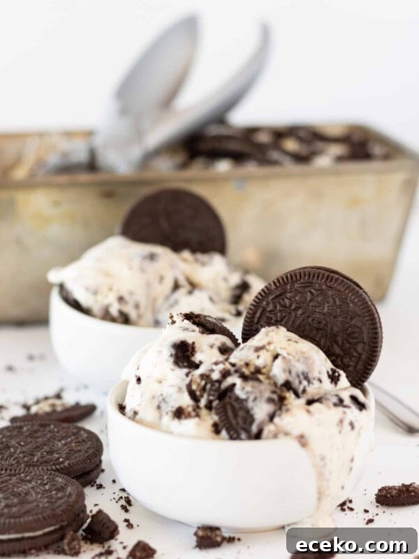 No Churn Oreo Ice Cream Recipe
