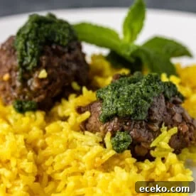 Savory Lamb and Lentil Meatballs with Zesty Lemon Rice 13 img 20227 12