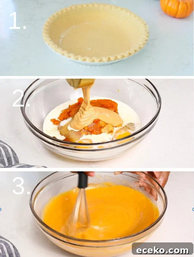 A set of step by step pictures on how to make pumpkin pie 