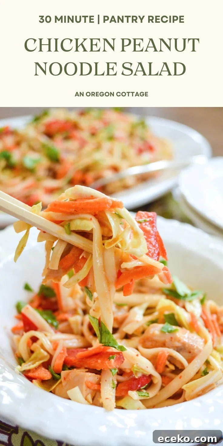 peanut noodle salad Pinterest pin image