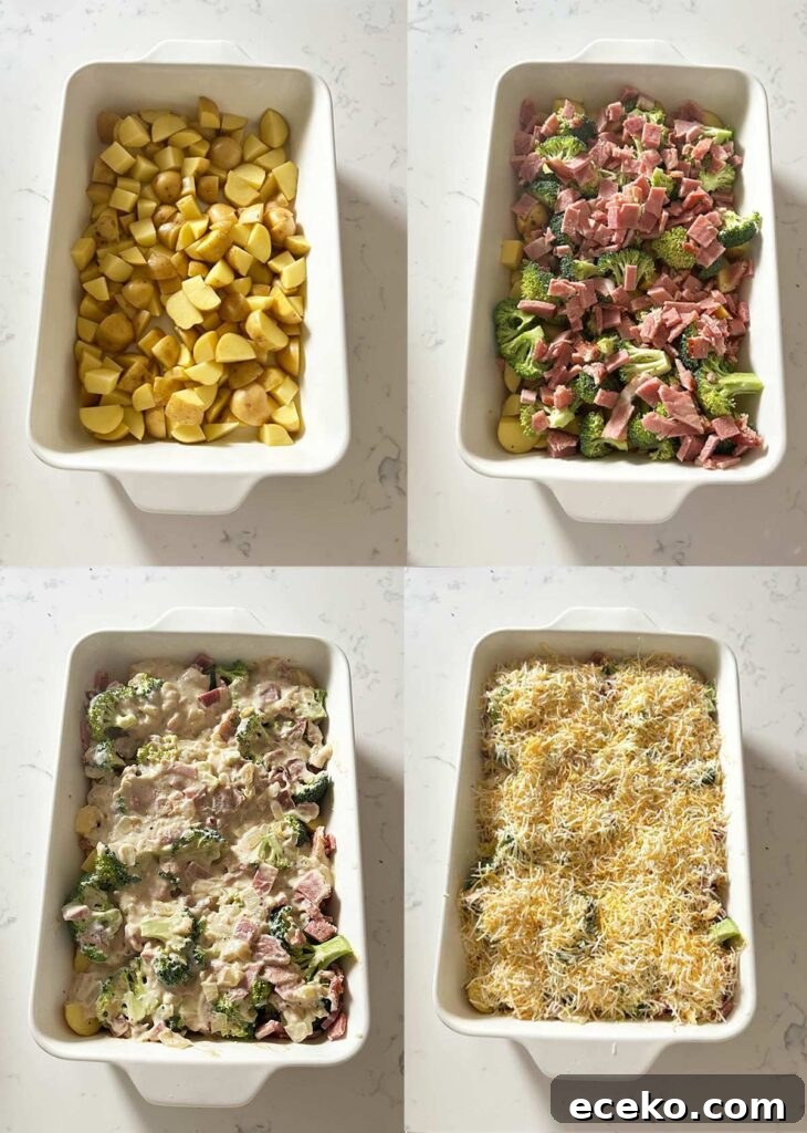 Cheesy Ham, Potato & Broccoli Casserole Recipe 4 Ham and Potato Casserole