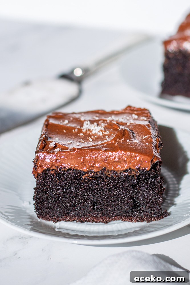 chocolate sheet cake
