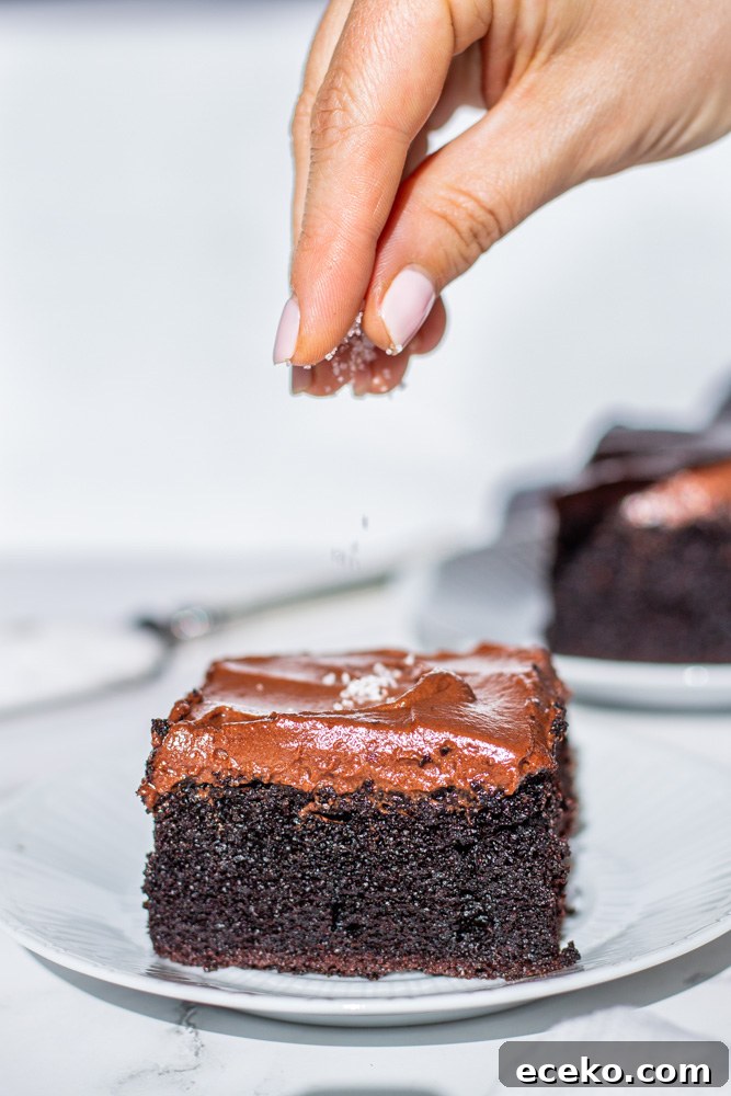 chocolate sheet cake