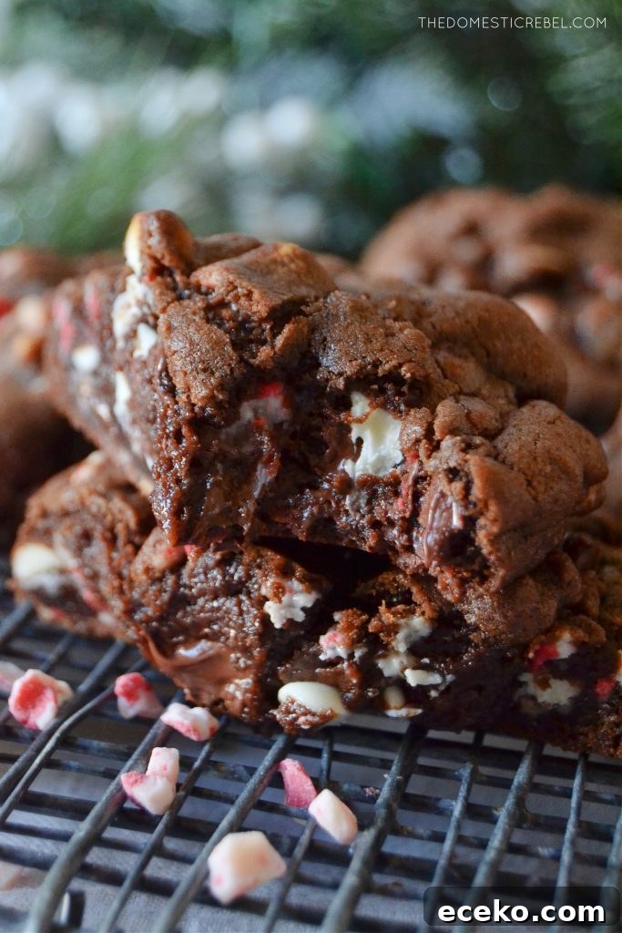 closeup of a chocolate peppermint cookie with a bite missing