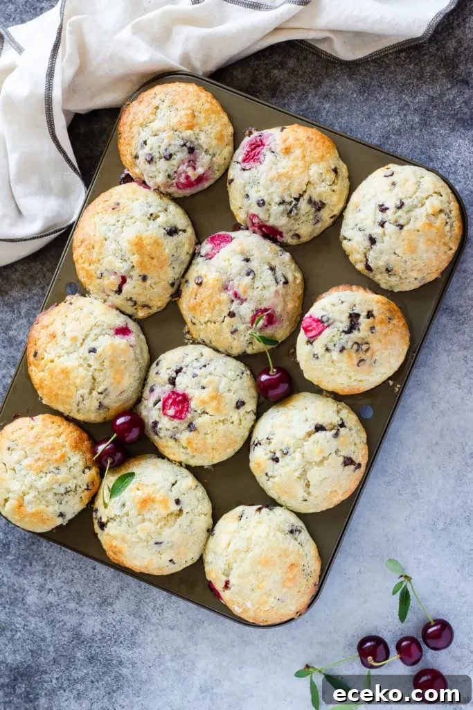 chocolate chip cherry muffins
