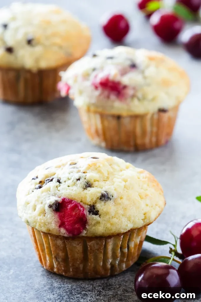 chocolate chip cherry muffins