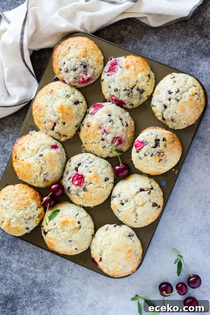 chocolate chip cherry muffins