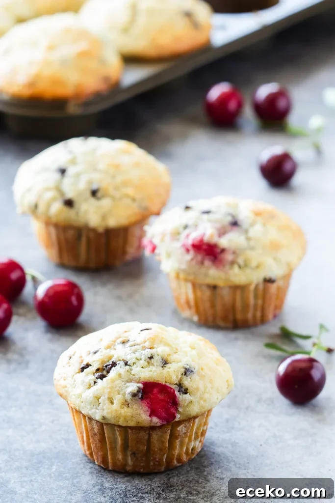 cherry chocolate chip muffins
