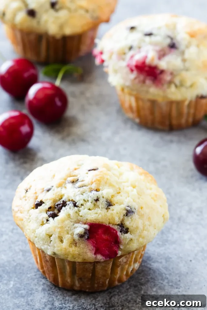 cherry chocolate chip muffins