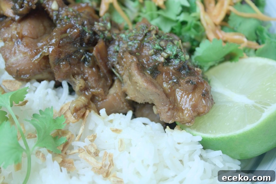 Muu Wan Thai Sweet Pork Recipe — Authentic Thai Flavor 4 Muu Waan Thai sweet pork