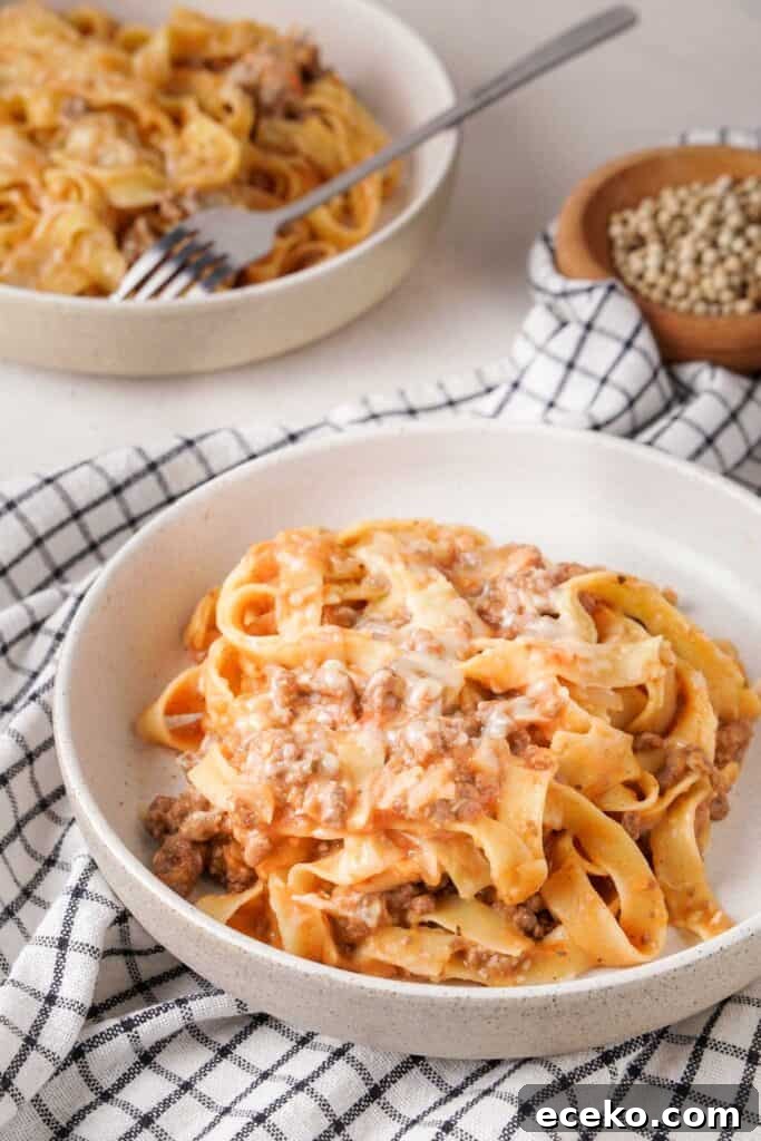 two bowls of slow cooker ground beef and noodles