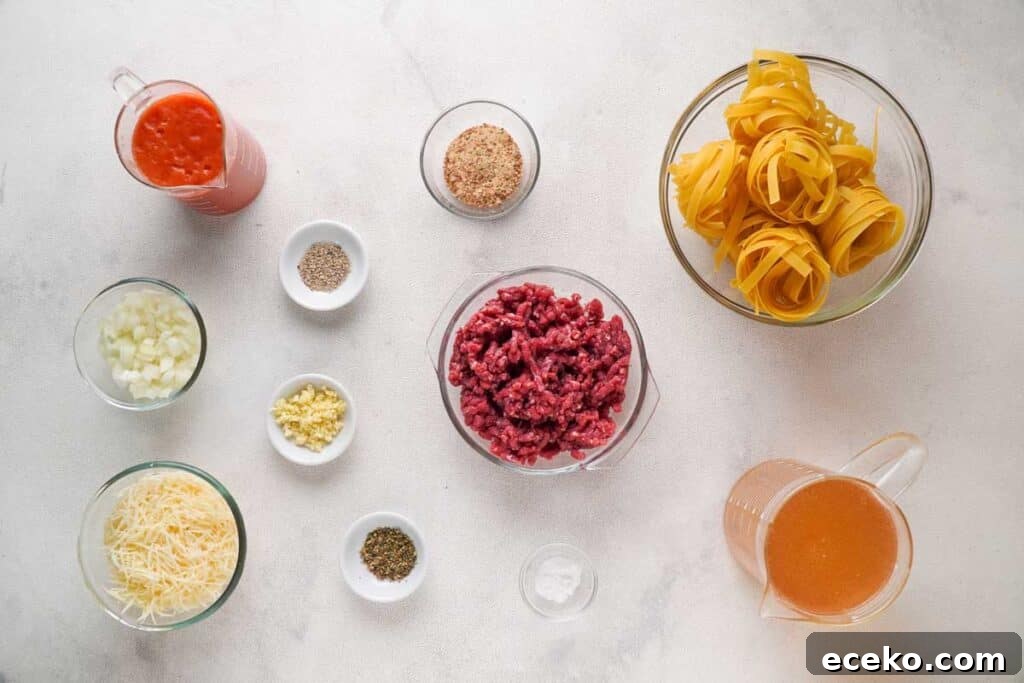 ground beef and noodles ingredients on countertop