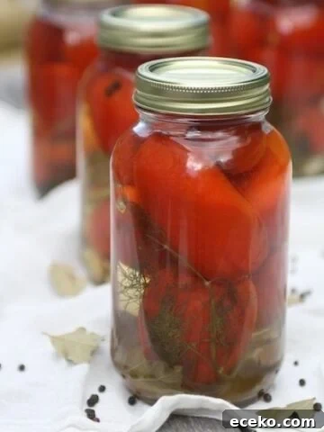 russian-Ukrianian-pickled-tomatoes-canned-tomatoes-tomato-jarred-currant-leaves-dill-peppercorns-tangy-side