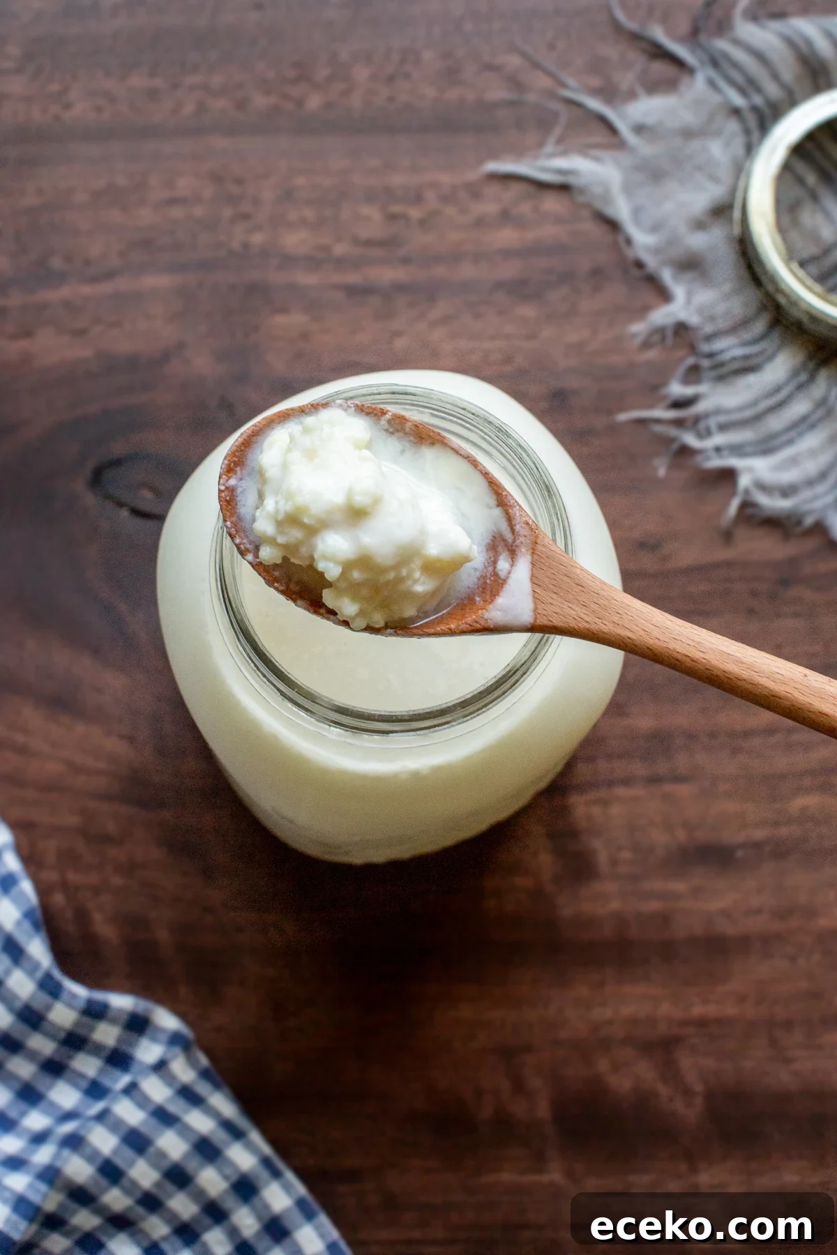 milk kefir grains in milk