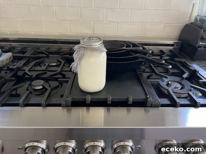 fermenting milk kefir