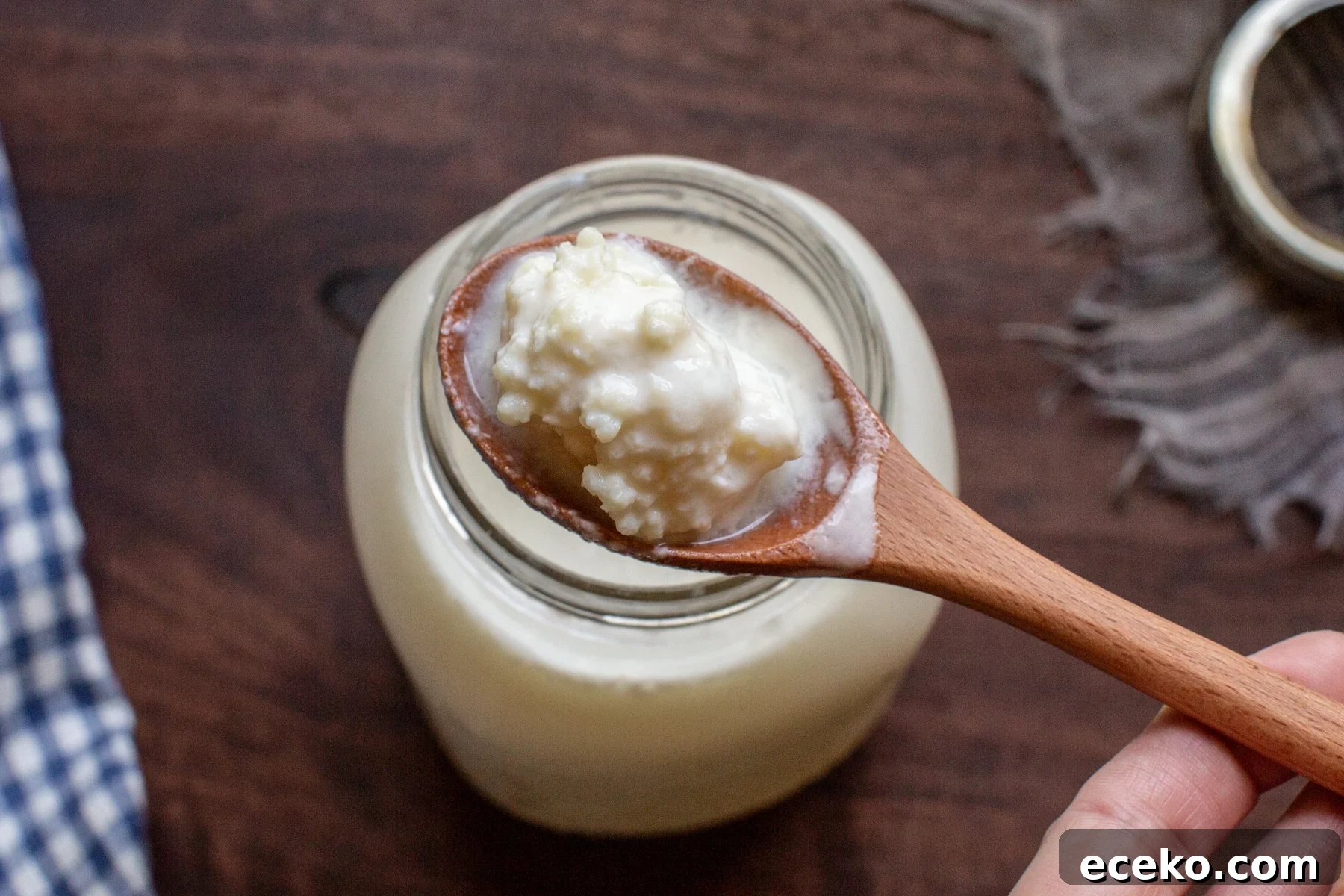 close up on kefir grains 