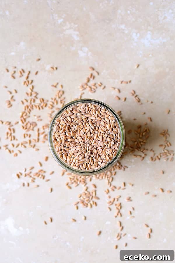 Photo of uncooked farro in glass jar on marble background.