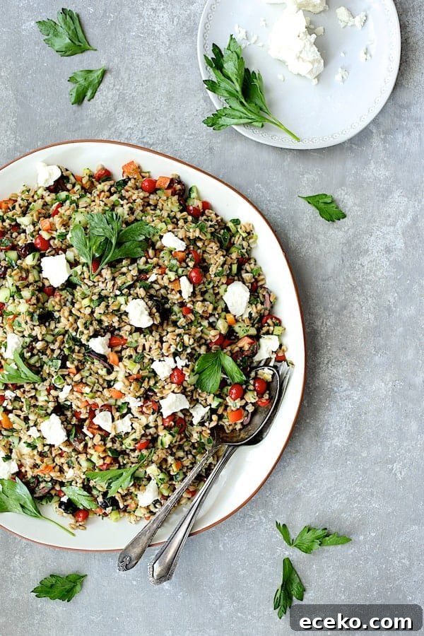 Photo of Mediterranean Farro Salad with feta cheese and fresh parsley.