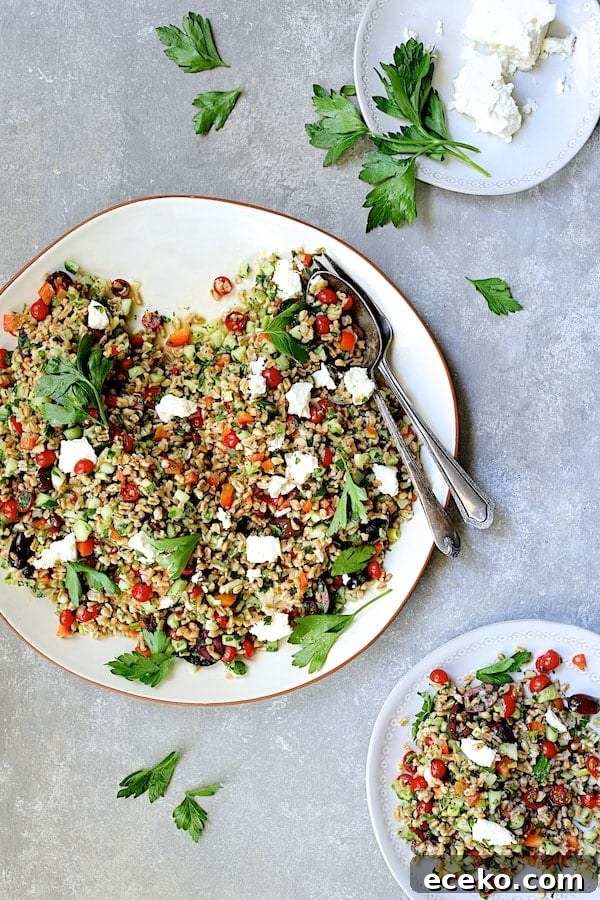 Photo of Mediterranean Farro Salad with some served on a smaller white plate.