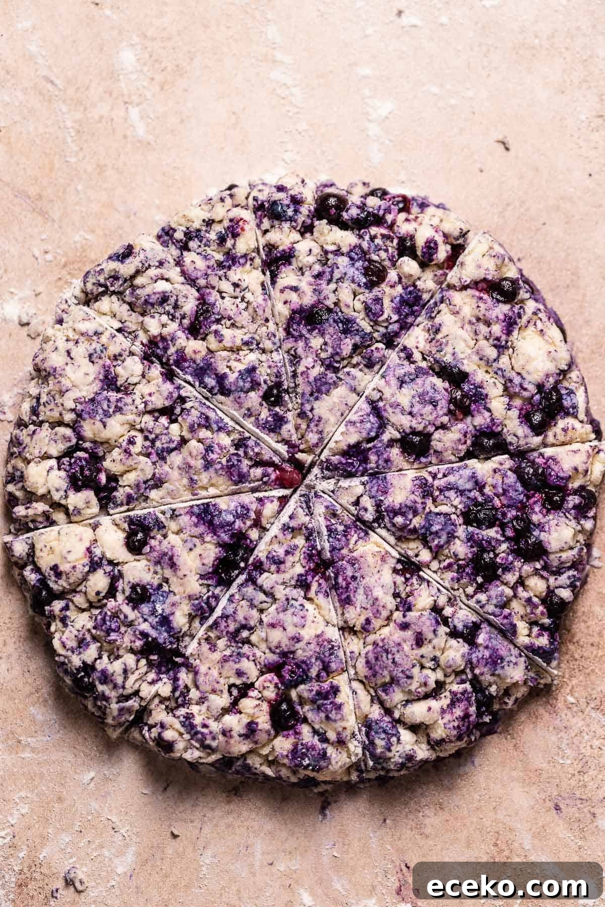 Blueberry scone dough shaped into a circle and cut into triangles.