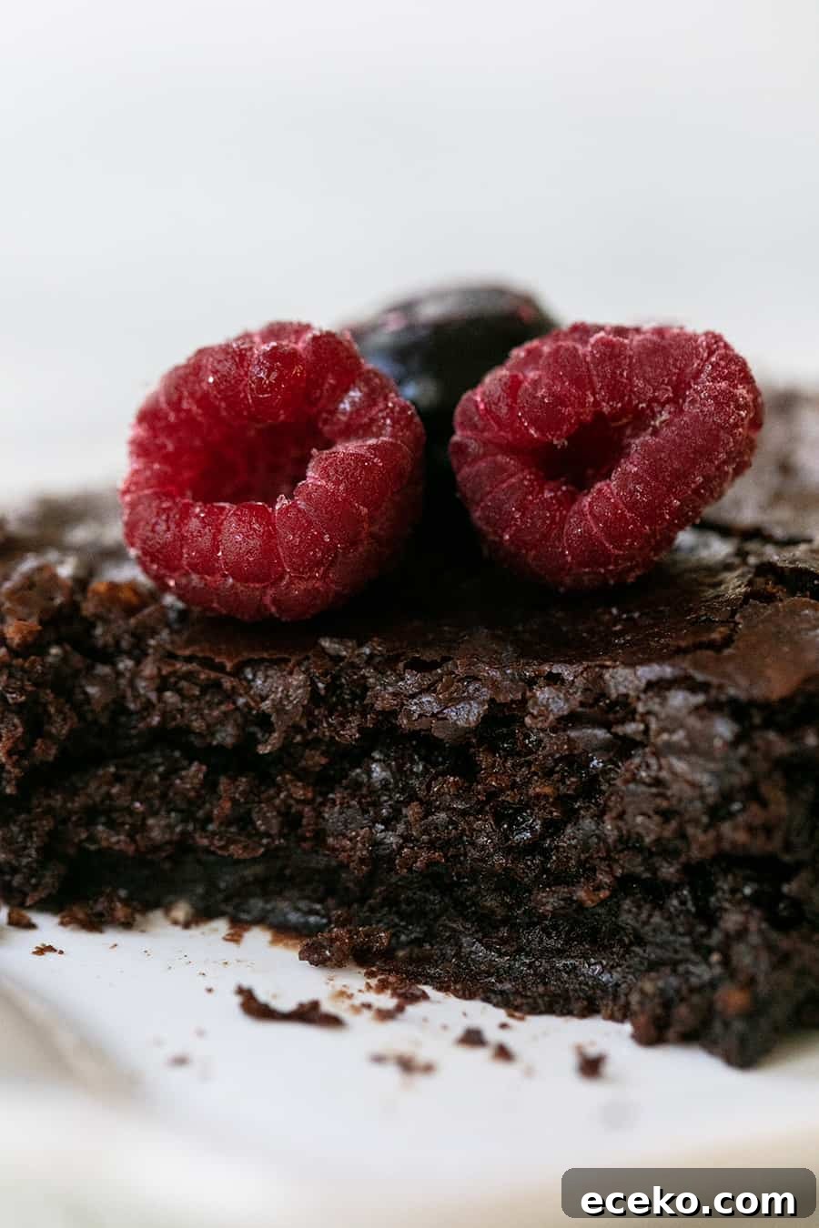 Fudgy Gluten-Free Brownies with Rich Chocolate Flavor 2 Gluten Free Chocolate Brownie with raspberries.