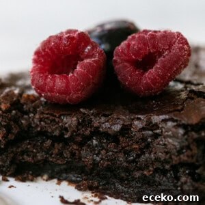 Fudgy Gluten-Free Brownies with Rich Chocolate Flavor 6 gluten free chocolate fudge brownies
