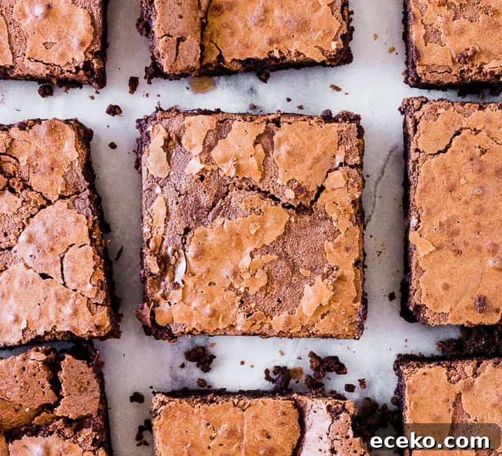 Fudgy Flourless Chocolate Brownies — Moist & Decadent Recipe 2 overhead photo of the sliced flourless brownies