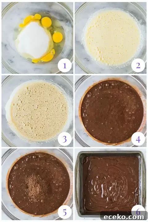 Fudgy Flourless Chocolate Brownies — Moist & Decadent Recipe 5 how to make flourless brownies step by step