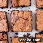 Fudgy Flourless Chocolate Brownies — Moist & Decadent Recipe 7 overhead photo of the sliced flourless brownies