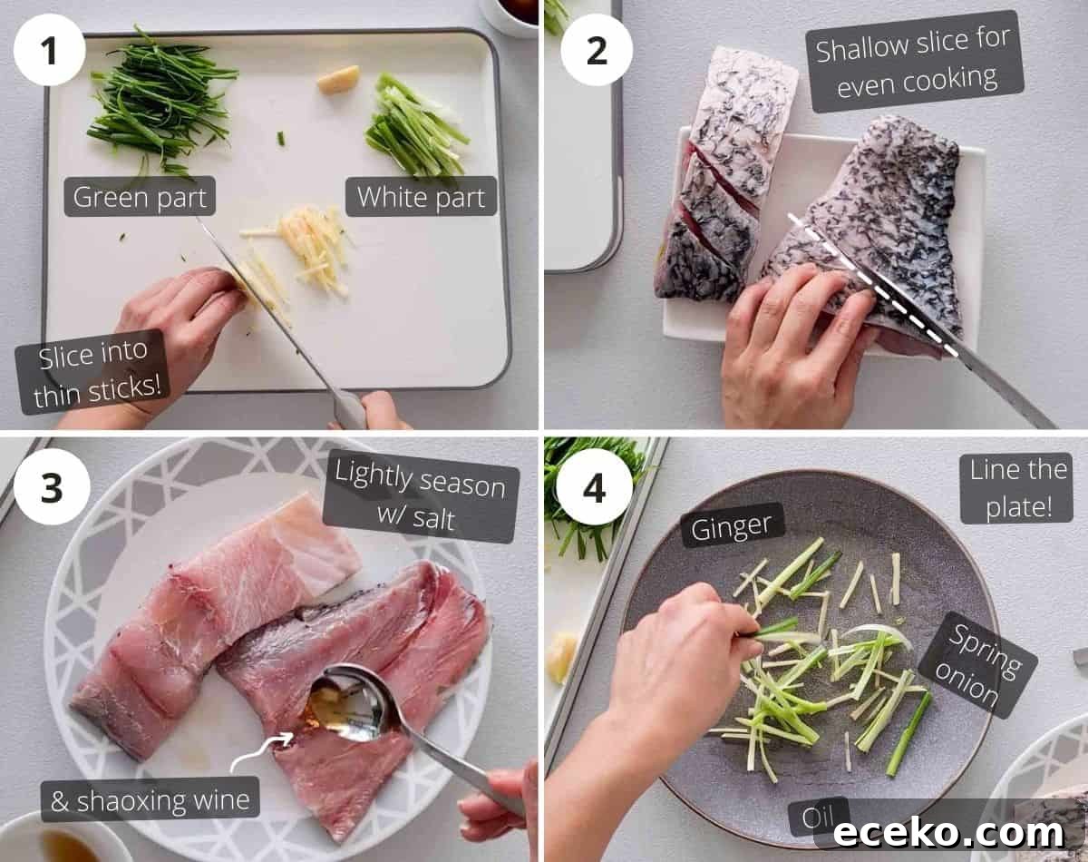 Step by step instructions part 1