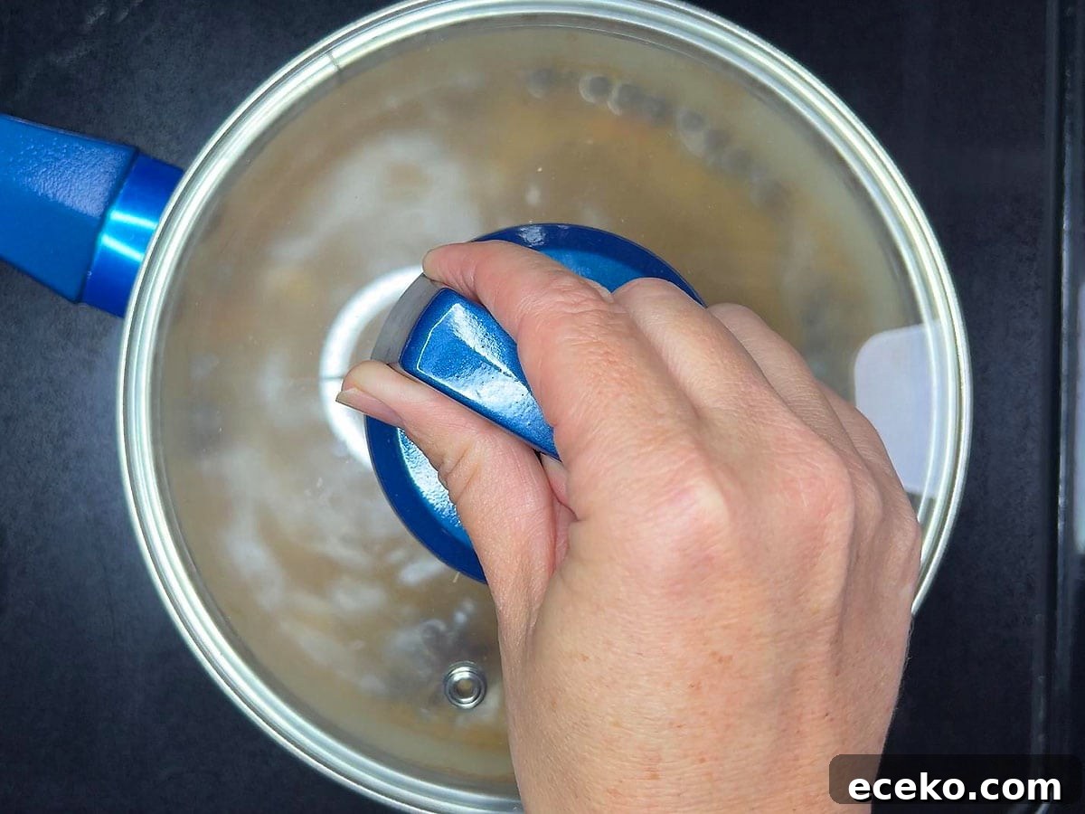 Hand placing a lid over a saucepan of simmering apple cider.