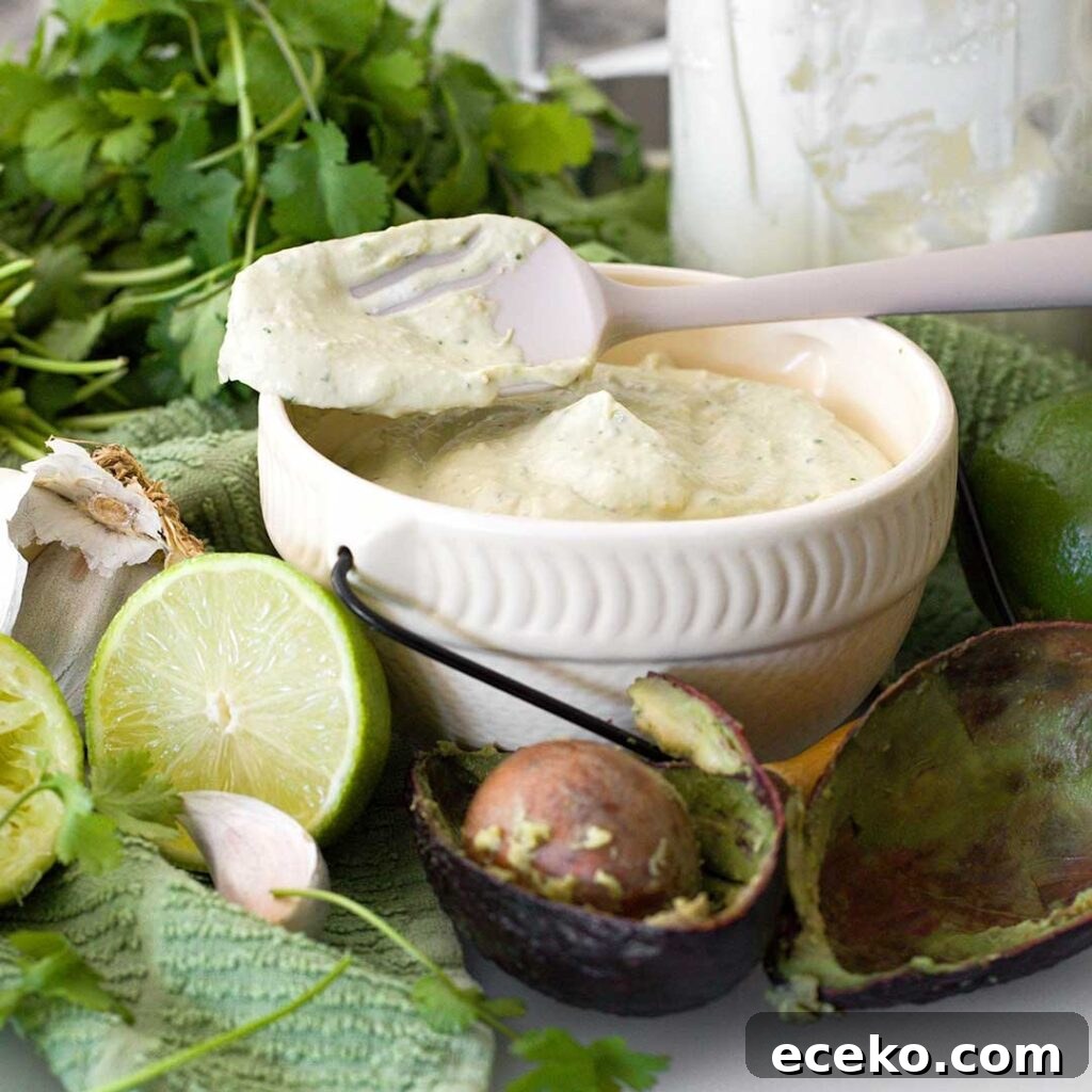 Crispy Air Fryer Sweet Potato Chips Recipe 12 bowl of garlic avocado dip made by Nicole Bonilla