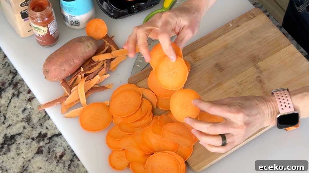 Crispy Air Fryer Sweet Potato Chips Recipe 4 Evenly sliced sweet potato rounds ready for seasoning.