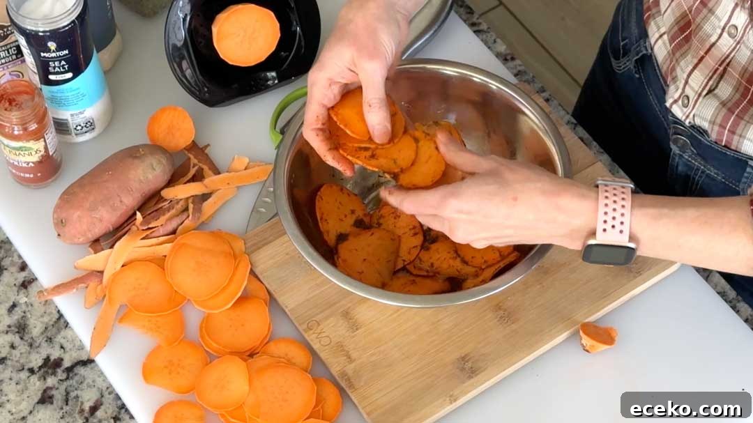 Crispy Air Fryer Sweet Potato Chips Recipe 6 Coated sweet potato slices ready to cook.