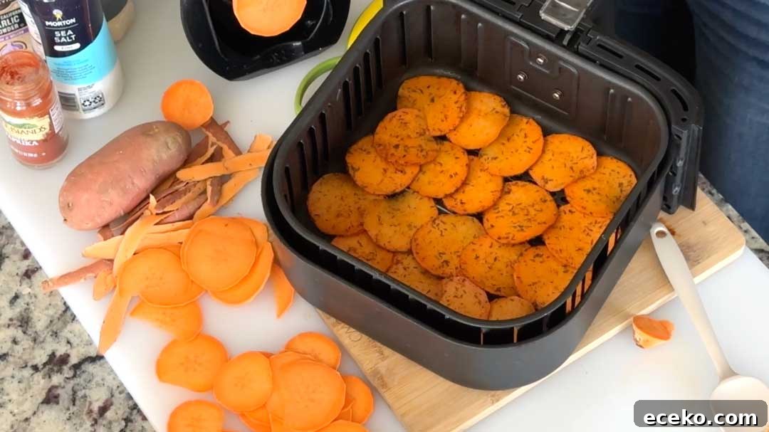 Crispy Air Fryer Sweet Potato Chips Recipe 7 Sliced sweet potato chips in the bottom of an air fryer basket ready to cook.
