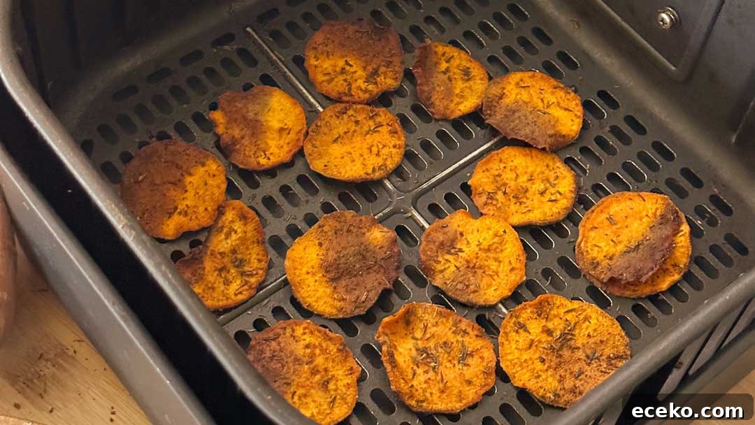 Crispy Air Fryer Sweet Potato Chips Recipe 8 Sweet potato chips in the bottom of the air fryer basket.