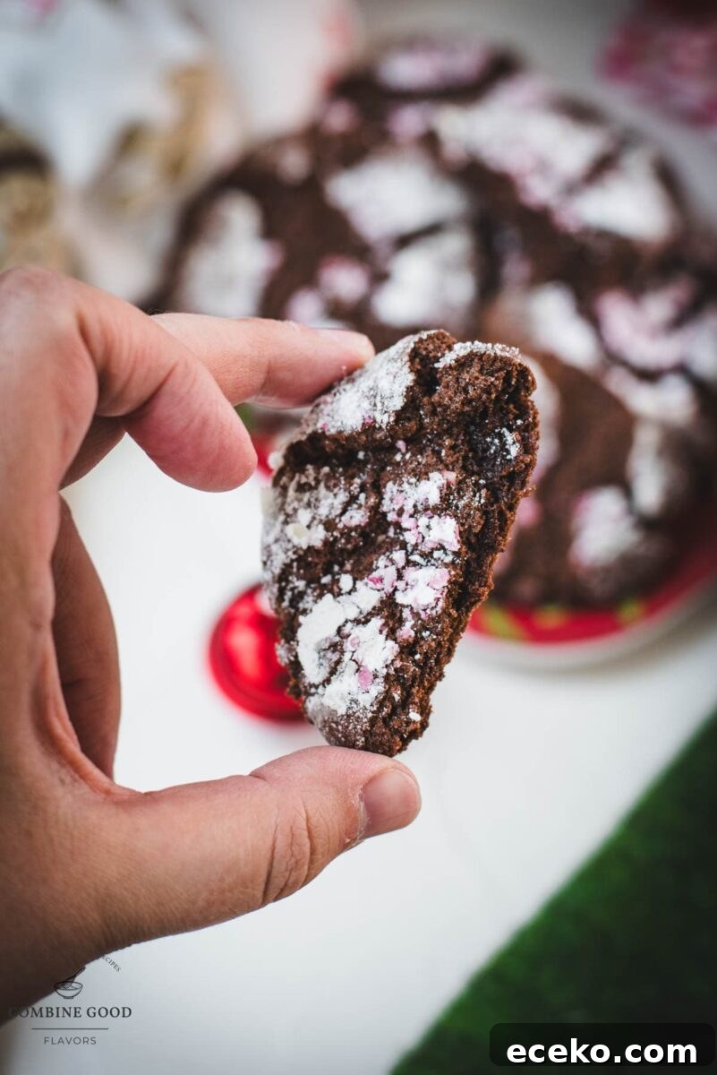 Chocolate Peppermint Crinkle Cookies Recipe for the Holidays 18 Hand holding half a peppermint crinkle cookie.