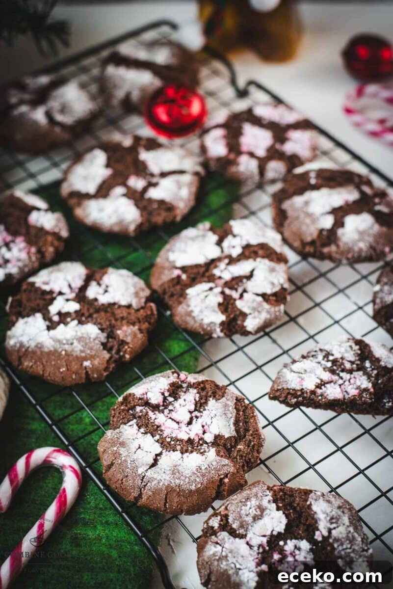 Chocolate Peppermint Crinkle Cookies Recipe for the Holidays 19 Gorgeous chocolate peppermint crinkle cookies placed on cooling rack.