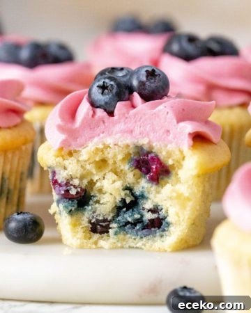 Moist Blueberry Cupcakes