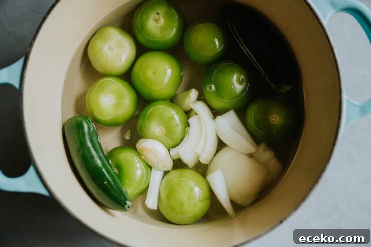fresh tomatillos, onion, jalapeno and garlic in a dutch oven with water.