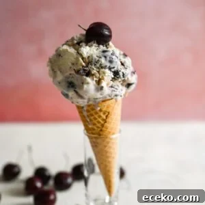 Cherry Chocolate Chunk Ice Cream (No-Churn Recipe) 12 No churn cherry ice cream with chocolate chunks is a great summertime treat, no ice cream maker needed!