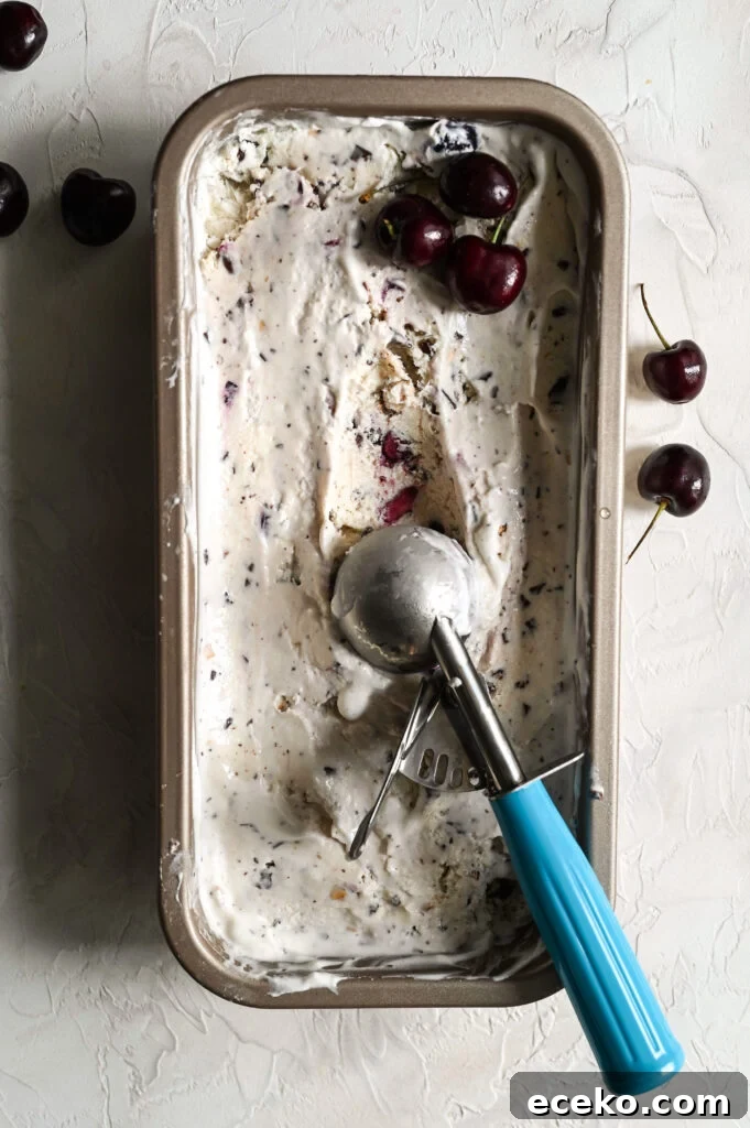 Cherry Chocolate Chunk Ice Cream (No-Churn Recipe) 3 No churn cherry ice cream with chocolate chunks is a great summertime treat, no ice cream maker needed!