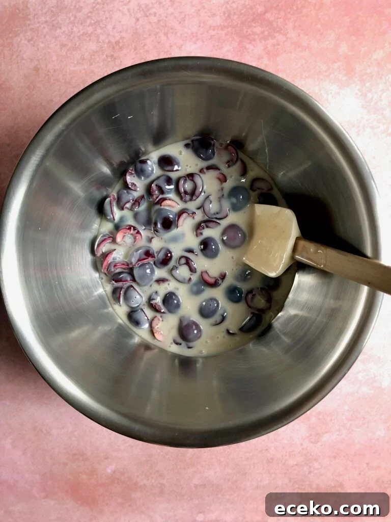 Cherry Chocolate Chunk Ice Cream (No-Churn Recipe) 5 img 32661 4
