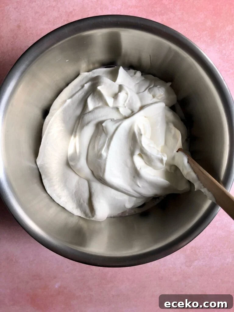 Cherry Chocolate Chunk Ice Cream (No-Churn Recipe) 6 img 32661 5