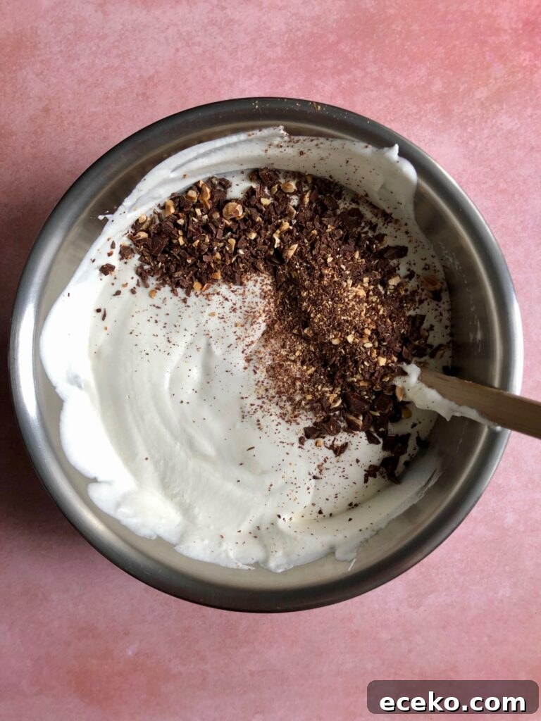 Cherry Chocolate Chunk Ice Cream (No-Churn Recipe) 7 img 32661 6