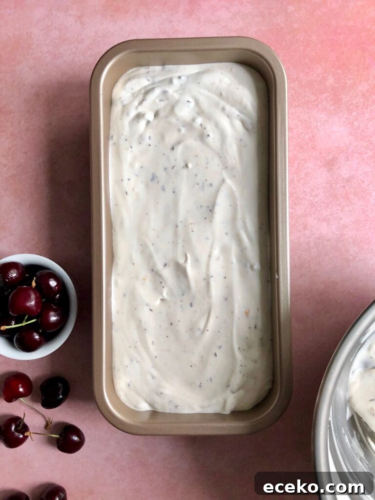 Cherry Chocolate Chunk Ice Cream (No-Churn Recipe) 8 img 32661 7